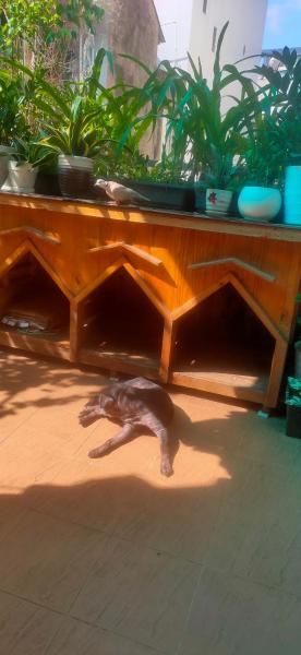 Huong's Homestay
